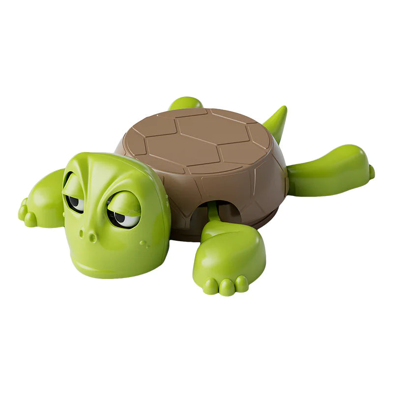 Turtle Coaster