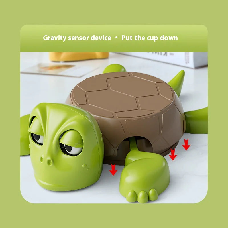 Turtle Coaster